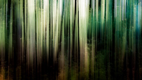 Abstraction Stains Trees wallpaper