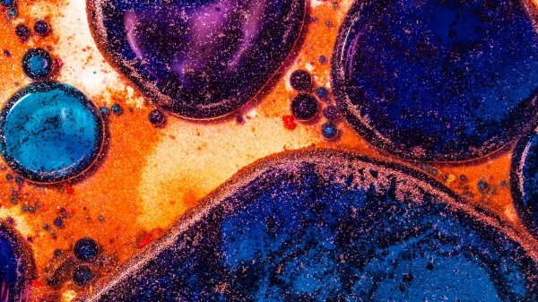 Circles Shapes Sparkles Wallpaper