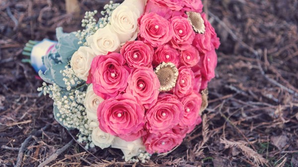 Roses Bouquet Composition Decoration Wallpaper