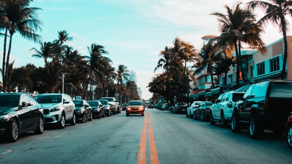 Road Markings Palm Trees Wallpaper
