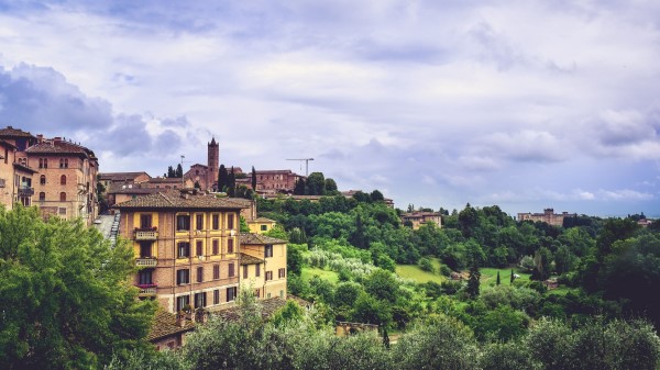 Siena Italy Province Trees Buildings wallpaper