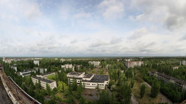 Sky Roof Apartments Trees Ghost Tow wallpaper