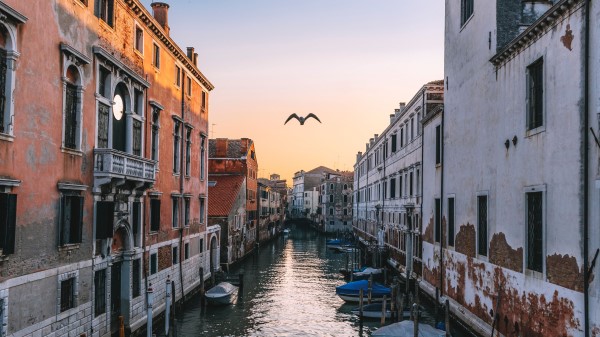 Venice Italy Canal Seagull River Wallpaper