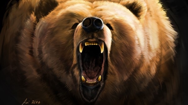 Bear Grin Angry wallpaper