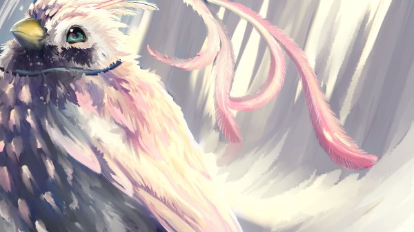 Bird Pink Feathers Wallpaper