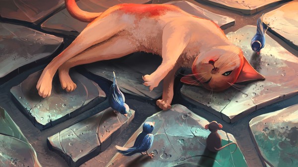 Cat Mouse Bird Wallpaper