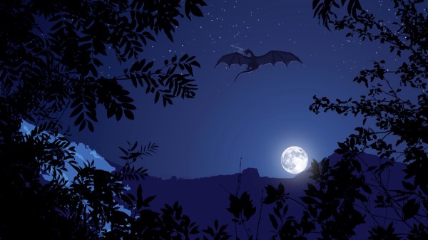 Dragon Night Moon Wallpaper