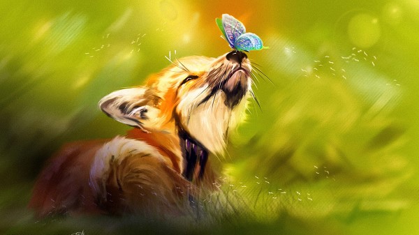Fox Butterfly Cute wallpaper