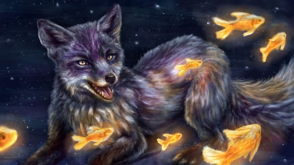 Fox Fish Illusion Wallpaper