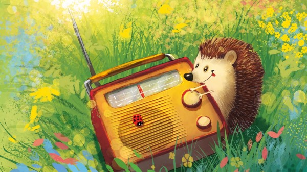Hedgehog Radio Grass Wallpaper