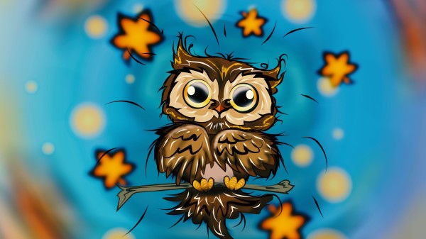 Owl Bird Stars Wallpaper