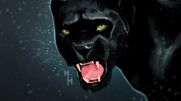 Panther Grin Predator Wallpaper