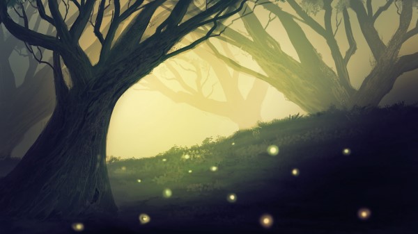 Tree Branches Glow Wallpaper