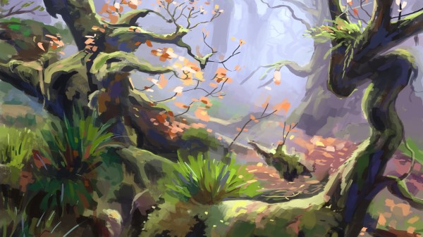 Trees Grass Forest Wallpaper