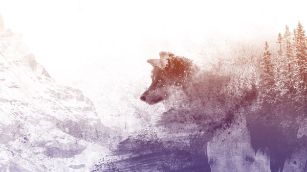 Wolf Art Photoshop Wallpaper