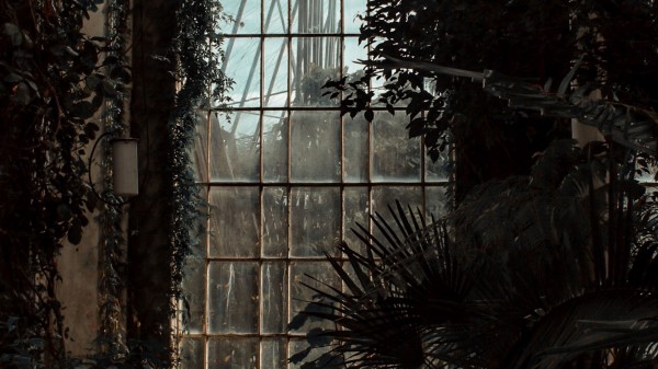 Greenhouse Window Dark Wallpaper