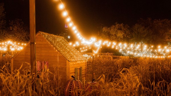 Halloween Holiday Garland Wallpaper