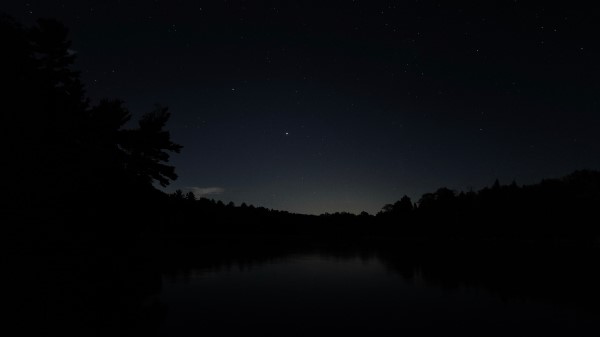 Lake Branches Silhouette Wallpaper