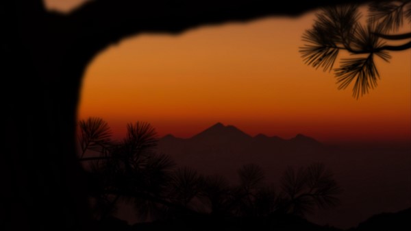 Mountains Sunset Branch Wallpaper