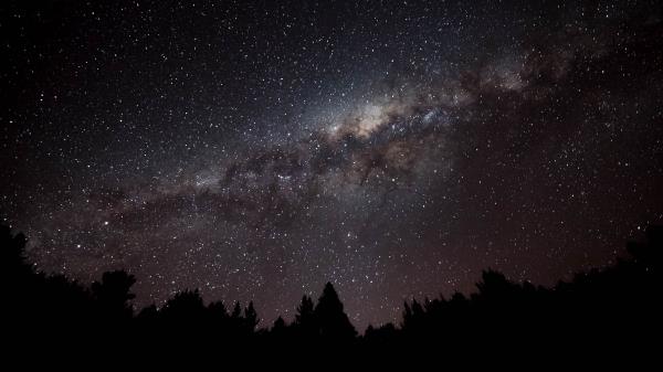 Nebula Starry Sky Spruce Wallpaper