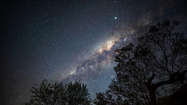 Nebula Stars Trees Wallpaper