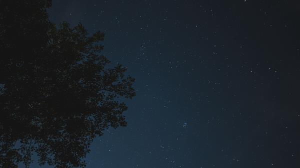 Night Tree Starry Sky Image Wallpaper