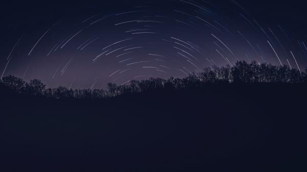 Night Trees Stars Wallpaper