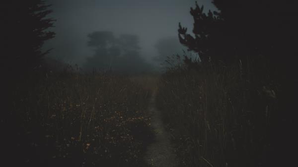 Path Fog Dark Wallpaper