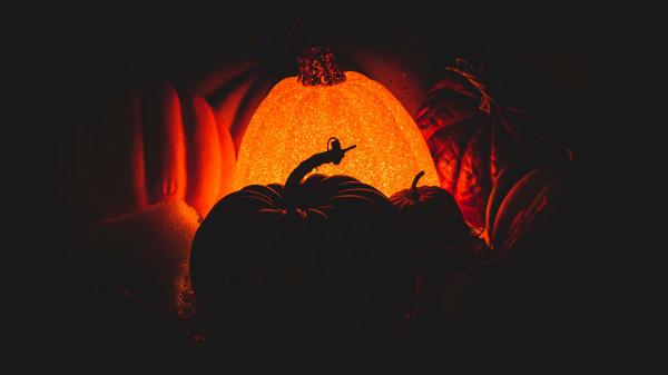 Pumpkin Glow Dark Wallpaper