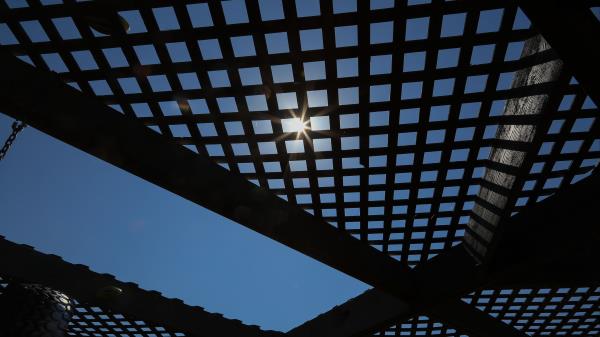 Roof Grid Light Wallpaper