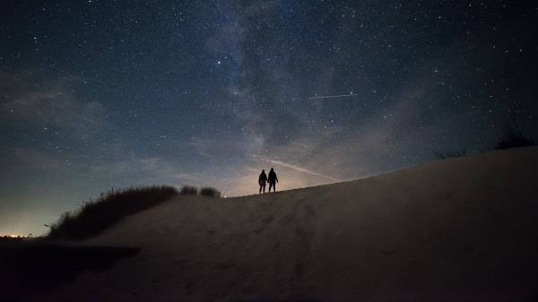 Silhouettes Dark Night Wallpaper