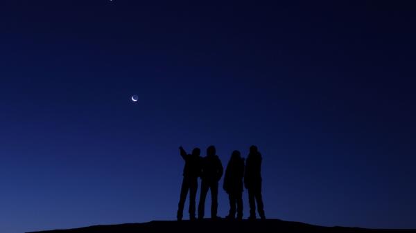 Space People Venus Moo Wallpaper