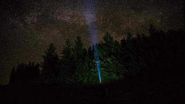 Starry Sky Forest Flashlight Wallpaper