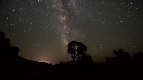 Starry Sky Milky Way Trees Wallpaper