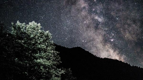 Starry Sky Nebula Bushes Wallpaper