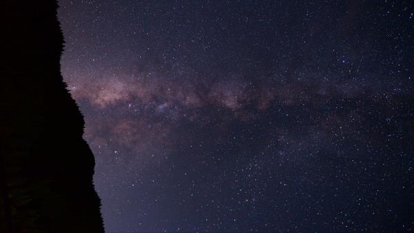 Starry Sky Night Forest Wallpaper
