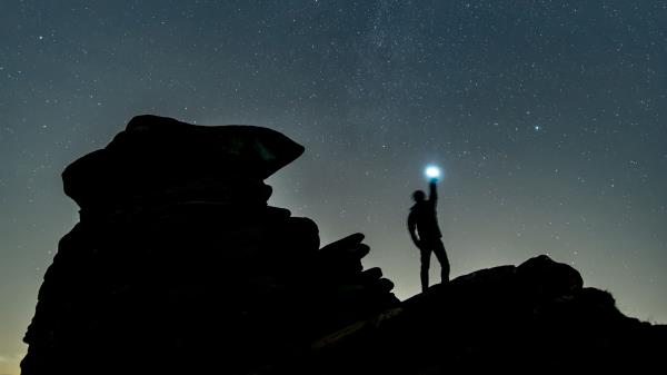 Starry Sky Silhouette Spectral Wallpaper
