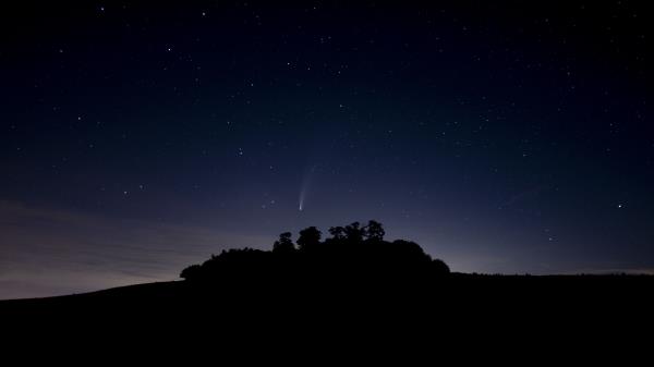 Starry Sky Stars Trees Wallpaper