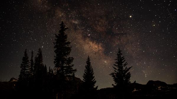 Starry Sky Trees Dark Wallpaper