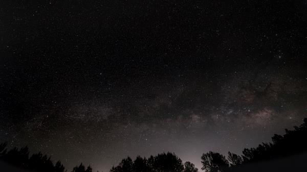 Starry Sky Trees Night Wallpaper