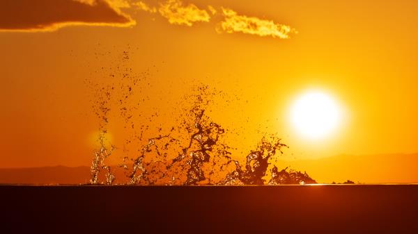 Sun Spray Drops Wallpaper