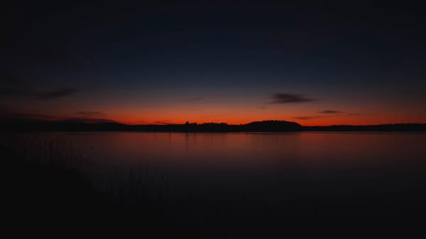 Sunset Skyline Trees Sky Wallpaper