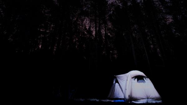 Tent Starry Sky Trees Wallpaper