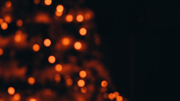 Tree Garland Blur Wallpaper