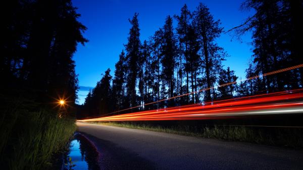 Trees Road Long Exposure Wallpaper