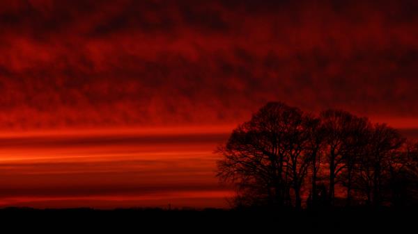 Trees Silhouette Sunset Wallpaper
