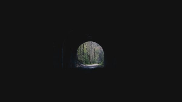 Tunnel Arch Trees Wallpaper