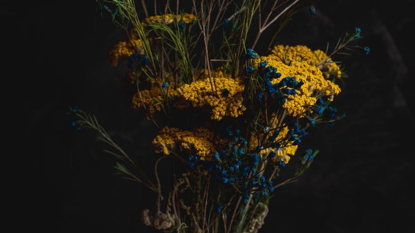 Bouquet Flowers Composition Yellow Wallpaper