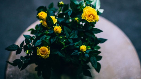 Bouquet Roses Buds Wallpaper