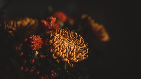 Flowers Bouquet Composition Image Wallpaper